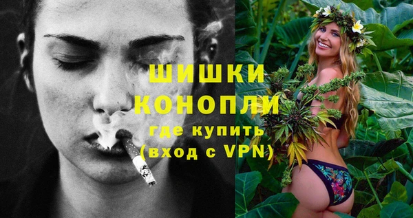 бошки Ладушкин