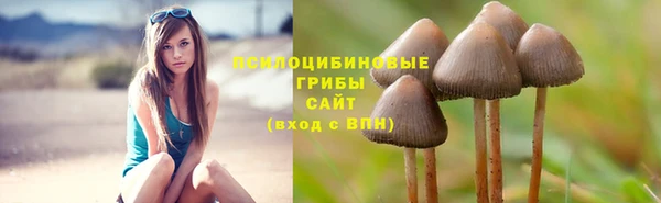 гидра Алзамай