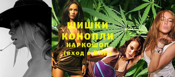 прущие грибы Алексин
