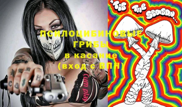 гидра Алзамай